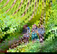 Tasmanian Wine Tour - Accommodation Perth