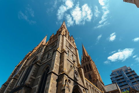 Highlights & Hidden Gems With Locals: Best Of Melbourne Private Tour - Accommodation Perth 4