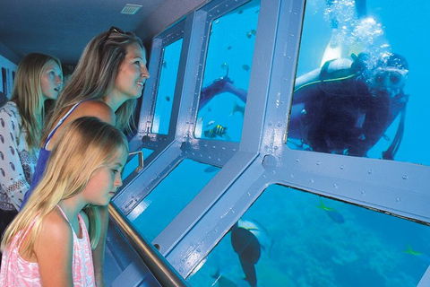 Quicksilver Outer Great Barrier Reef Snorkel Cruise From Palm Cove - Accommodation Perth 0