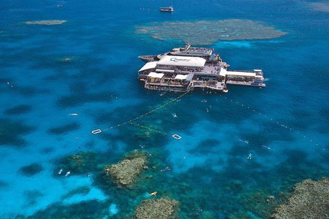 Quicksilver Outer Great Barrier Reef Snorkel Cruise From Palm Cove - Accommodation Perth 1