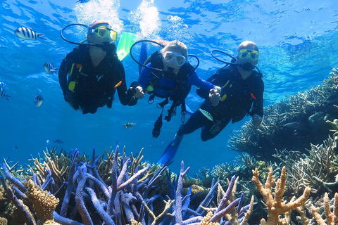 Quicksilver Outer Great Barrier Reef Snorkel Cruise From Palm Cove - Accommodation Perth 3