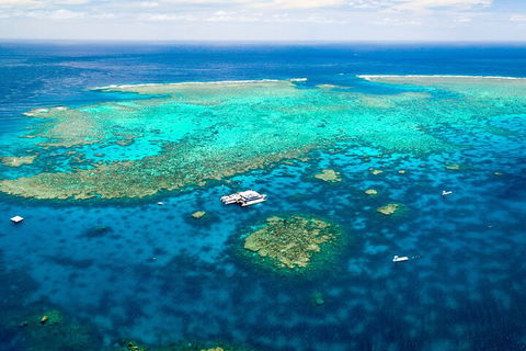 Quicksilver Outer Great Barrier Reef Snorkel Cruise From Palm Cove - Accommodation Perth 4