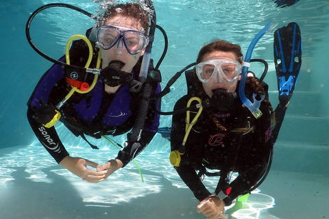 Quicksilver Dive 4 Day PADI Learn To Dive Course - Accommodation Perth 2