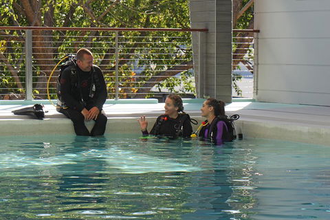 Quicksilver Dive 4 Day PADI Learn To Dive Course - Accommodation Perth 3