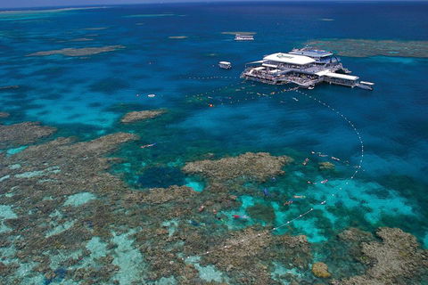 Ultimate 3-Day Great Barrier Reef Cruise Pass - Accommodation Perth 3