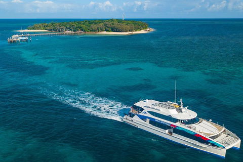 Ultimate 3-Day Great Barrier Reef Cruise Pass - Accommodation Perth 4
