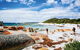 Wineglass Bay Private Charter Service - thumb 3