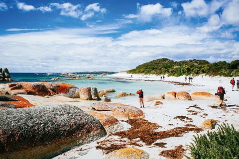 Wineglass Bay Private Charter Service - Accommodation Perth 3