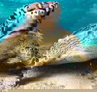 Sail Snorkel SUP  Kayak Charter Whitsundays - Accommodation Perth