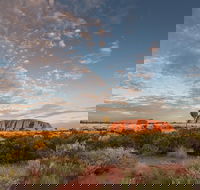 Uluru Kata Tjuta and Kings Canyon Camping Safari from Alice Springs - Accommodation Perth