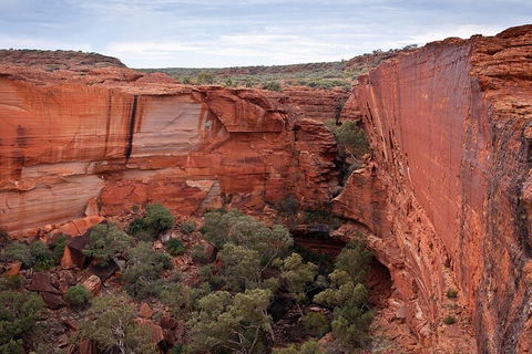 Uluru, Kata Tjuta And Kings Canyon Camping Safari From Ayers Rock - Accommodation Perth 1