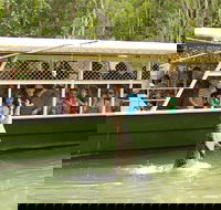 Hartley's Crocodile Adventure Half-Day Tour - Accommodation Perth