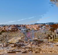 The Amazing Kings Canyon 4-Hours Walking Tour and Hike - Accommodation Perth