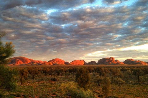 5-Hour Kata Tjuta Sunrise Tour From Ayers Rock With Breakfast - Accommodation Perth 1