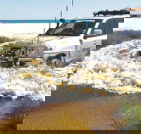 Full-Day Moreton Island 4x4 Sightseeing Tour - Accommodation Perth