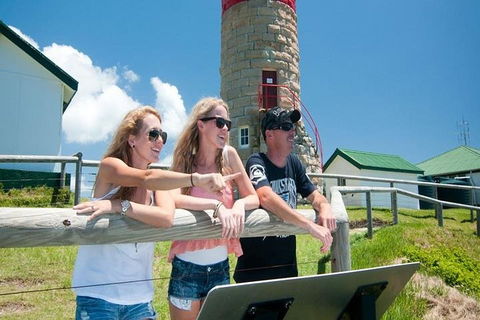 Full-Day Moreton Island 4x4 Sightseeing Tour - Accommodation Perth 3
