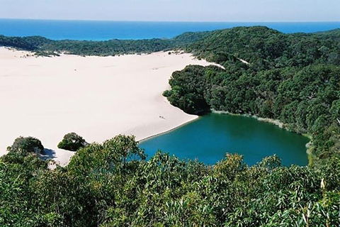Full-Day Moreton Island 4x4 Sightseeing Tour - Accommodation Perth 5