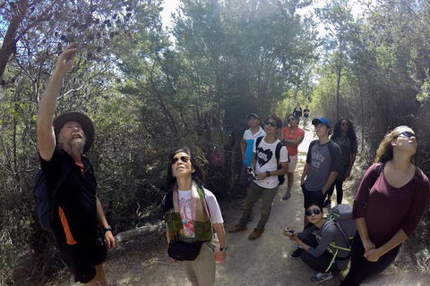 Active Day Tour One-Way From Launceston To Hobart Via Wineglass Bay - Accommodation Perth 0