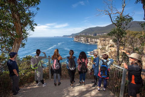 Historic Port Arthur Day Trip From Hobart Including Cliff-Top Walk To Waterfall Bay - Accommodation Perth 0