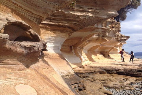 Hobart Minibus Full-Day Private Tour - Accommodation Perth 0