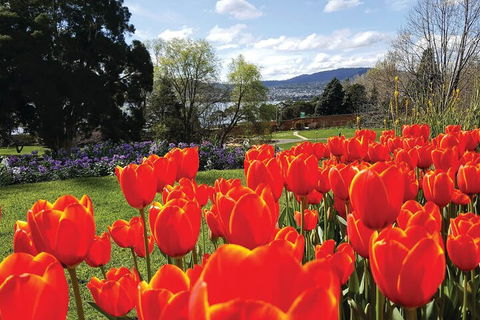 Hobart Half-Day Sightseeing Coach Tram Tour - Accommodation Perth 4