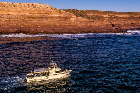Kalbarri Sunset Coastal Cliff Cruise - Accommodation Perth 4