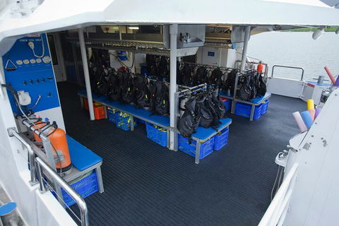 Silverswift Outer Great Barrier Reef Dive And Snorkel Cruise From Cairns - Accommodation Perth 0