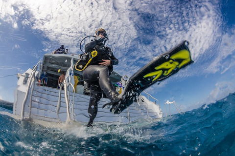 Silverswift Outer Great Barrier Reef Dive And Snorkel Cruise From Cairns - Accommodation Perth 1