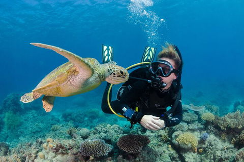 Silverswift Outer Great Barrier Reef Dive And Snorkel Cruise From Cairns - Accommodation Perth 2