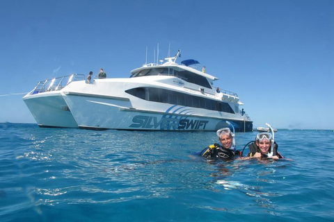 Silverswift Outer Great Barrier Reef Dive And Snorkel Cruise From Cairns - Accommodation Perth 4