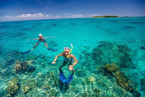 Green Island Discovery Including Glass Bottom Boat Tour Departing Cairns - Accommodation Perth 2