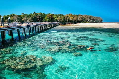 Green Island Discovery Including Glass Bottom Boat Tour Departing Cairns - Accommodation Perth 4