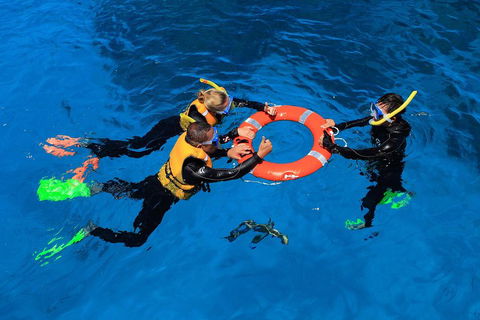 Great Barrier Reef Adventure From Cairns - Accommodation Perth 3