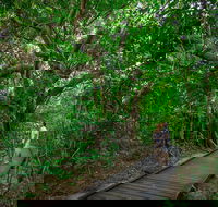 Green Island Eco Adventure from Cairns - Accommodation Perth
