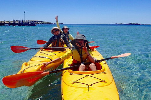 Penguin And Seal Islands Sea Kayaking Experience - Accommodation Perth 4