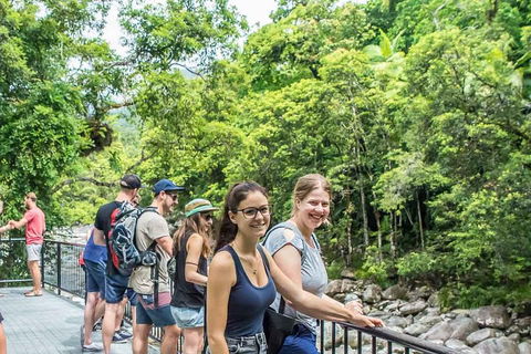 Cape Tribulation, Mossman Gorge, And Daintree Rainforest Day Trip From Cairns Or Port Douglas - Accommodation Perth 0