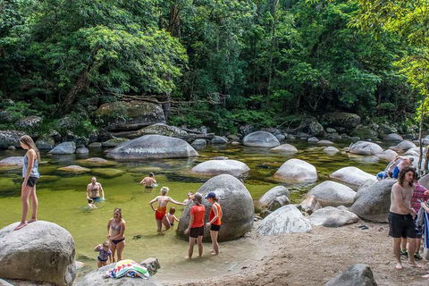 Cape Tribulation, Mossman Gorge, And Daintree Rainforest Day Trip From Cairns Or Port Douglas - Accommodation Perth 1