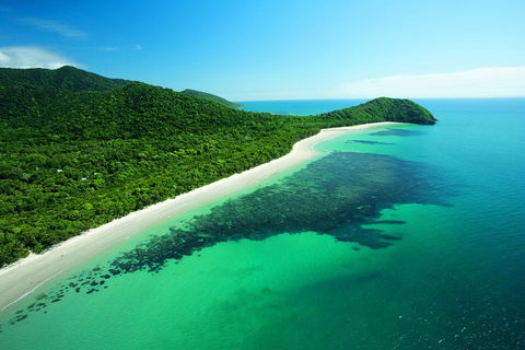 Cape Tribulation, Mossman Gorge, And Daintree Rainforest Day Trip From Cairns Or Port Douglas - Accommodation Perth 2