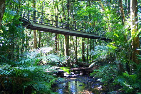 Cape Tribulation, Mossman Gorge, And Daintree Rainforest Day Trip From Cairns Or Port Douglas - Accommodation Perth 3
