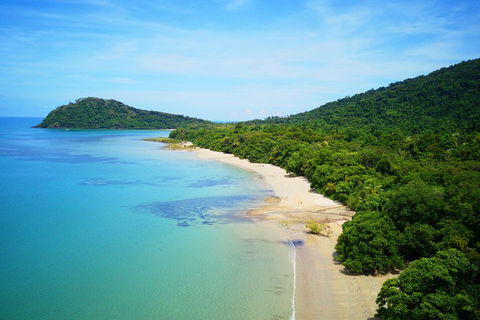 Cape Tribulation, Mossman Gorge, And Daintree Rainforest Day Trip From Cairns Or Port Douglas - Accommodation Perth 5