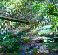 Double Pack-Ancient Rainforest and Waterfalls - Accommodation Perth