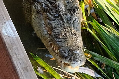 Litchfield Park Adventures And Jumping Crocodile Cruise + Butterfly Farm - Accommodation Perth 1