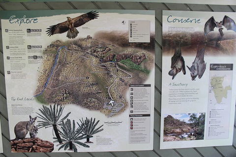 Jumping Crocodile Cruise And Berry Springs Nature Park - Accommodation Perth 2