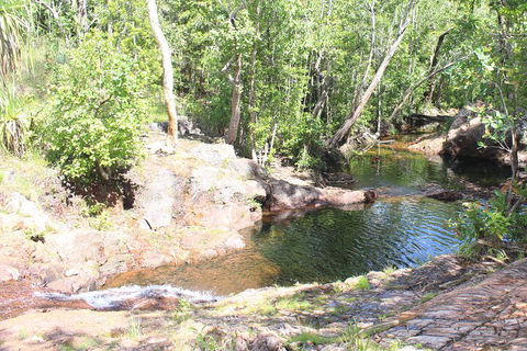 Jumping Crocodile Cruise And Berry Springs Nature Park - Accommodation Perth 3