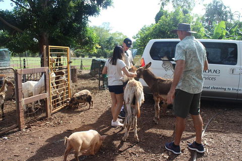 Jumping Crocodile Cruise And Berry Springs Nature Park - Accommodation Perth 4