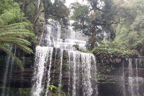6-Day Hearty Tasmania Tour (Tasmania In A Circle) - Accommodation Perth 0