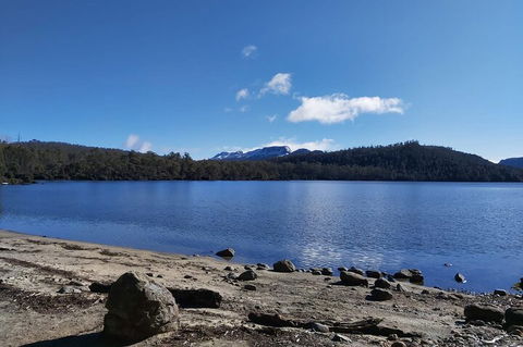 6-Day Hearty Tasmania Tour (Tasmania In A Circle) - Accommodation Perth 1