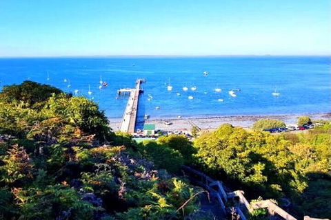 Mornington Peninsula Sightseeing Tour For 2-6 Guests. - Accommodation Perth 1