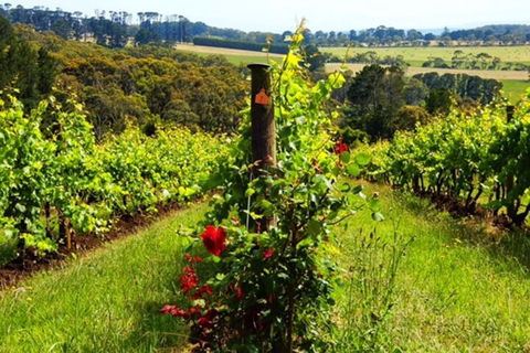 Mornington Peninsula Sightseeing Tour For 2-6 Guests. - Accommodation Perth 3