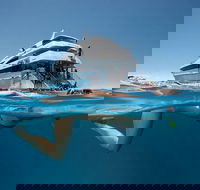3 Day Great Barrier Reef Daintree Rainforest and Outback Chillagoe Tour - Accommodation Perth